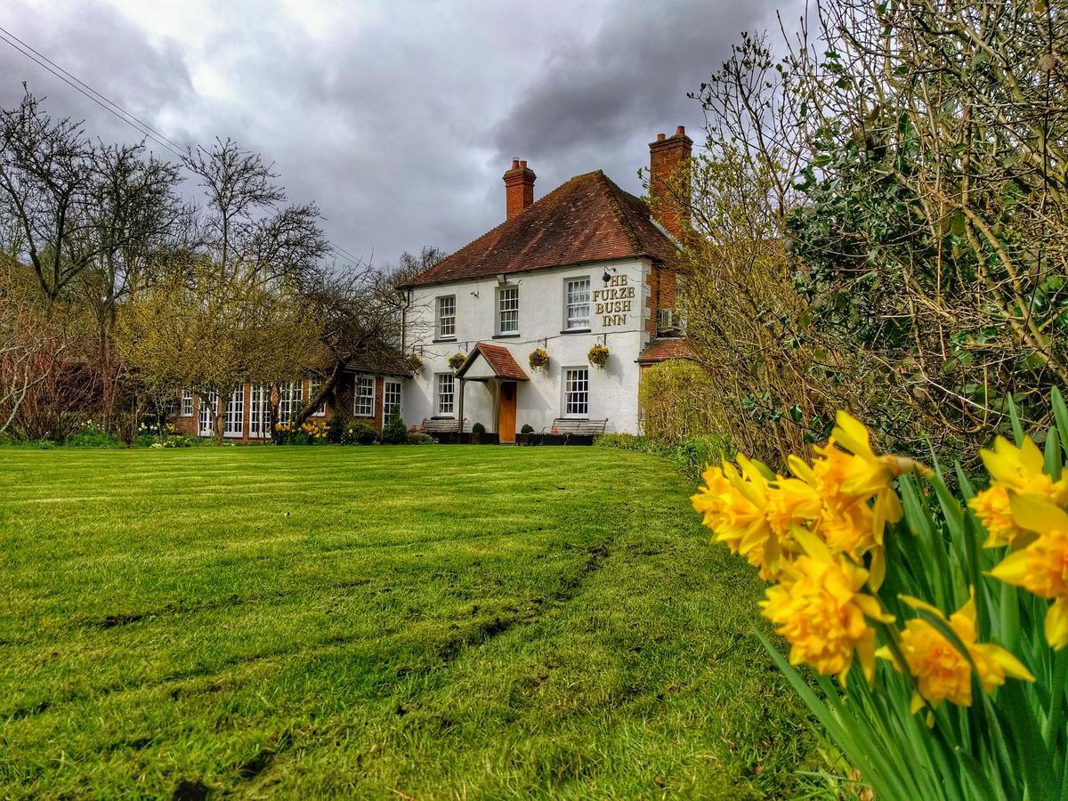 The Furze Bush Inn Ньюбери Экстерьер фото
